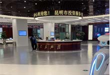 昆明市政务服务中心案例